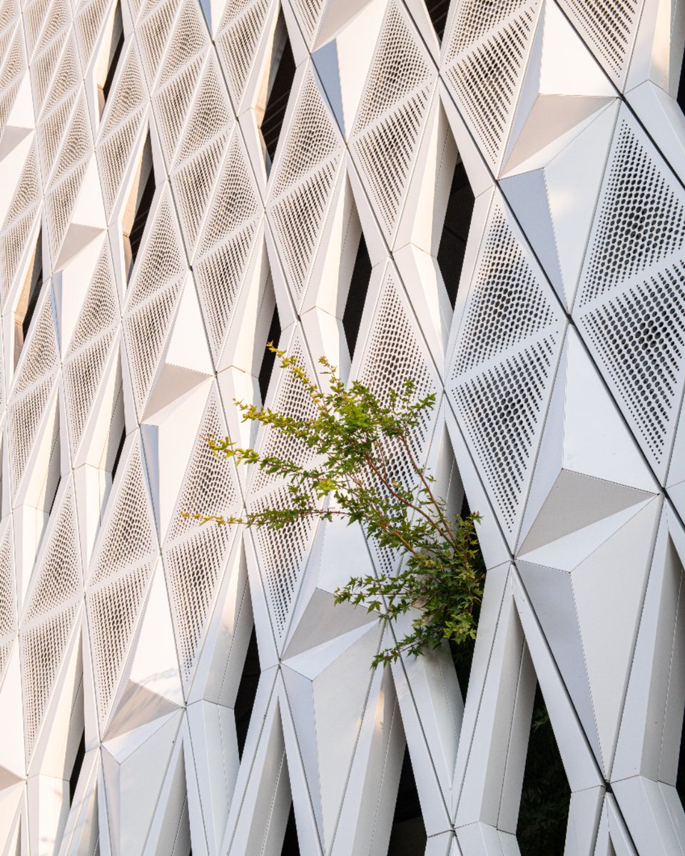 virginhotels's tweet photo. We're thrilled that @VirginHotelsDal has won the 2022 American Architecture Awards® 🤍  Architecture Design by @5Gstudio 
#VirginHotels #Architecture #HotelDesign 

https://t.co/rqYGVFMt8l https://t.co/9HUhtSftnN