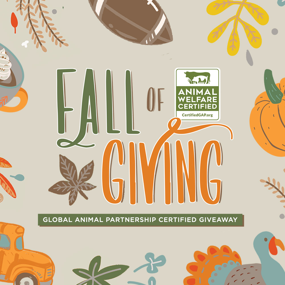 It's Giveaway Time!! We're back with another G.A.P. Certified partner giveaway. Visit our Fall Giveaway page, make sure you're following us, and enter to have your entry counted! You could win a prize pack worth over $500! 

globalanimalpartnership.org/fall-giveaway

#MakeitGAP #giveaway
