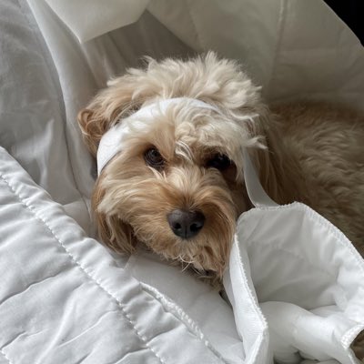 euphoriy's tweet photo. #NewProfilePic https://t.co/fKw832177Q