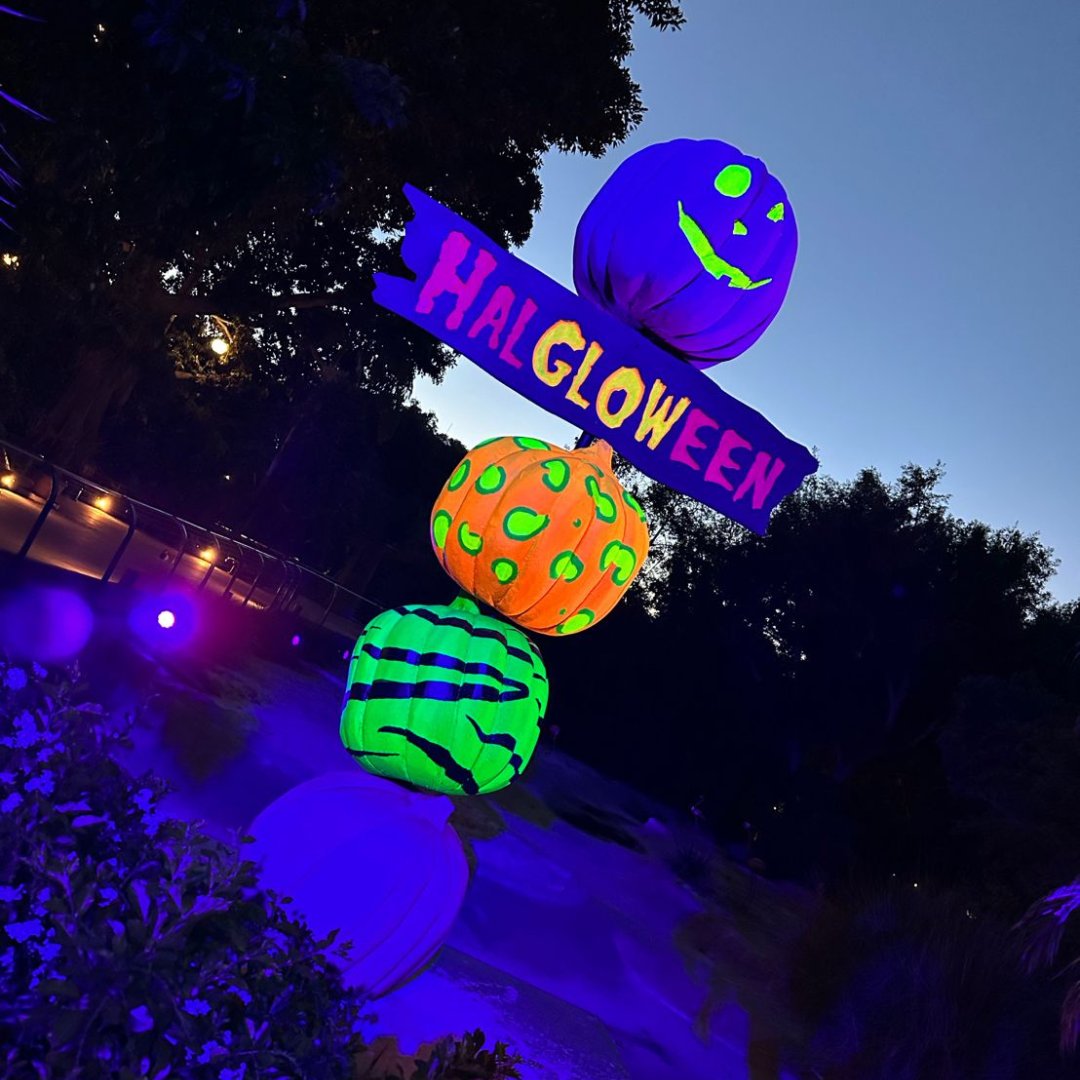 SonnhalterB2T's tweet photo. Matt is currently at #stafdasandiego22 and checked out the opening party at the San Diego Zoo Wildlife Alliance last night!
An awesome and spooky way to kick off STAFDA 2022.
We're looking forward to an exciting next few days!
#sonnhalterb2t #STAFDAHQ #stafda2022 https://t.co/ldcNndxlSk