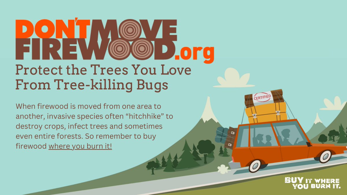 soforext's tweet photo. As the temperature decreases, the sales and transport of firewood increase the @dontmovefirewood campaign wants to remind you to #buyitwhereyouburnit!
This campaign maintains a local firewood map and other resources at https://t.co/Wg5TFr0xj0
#dontmovefirewood #dmfw https://t.co/oVfpMsNxtU