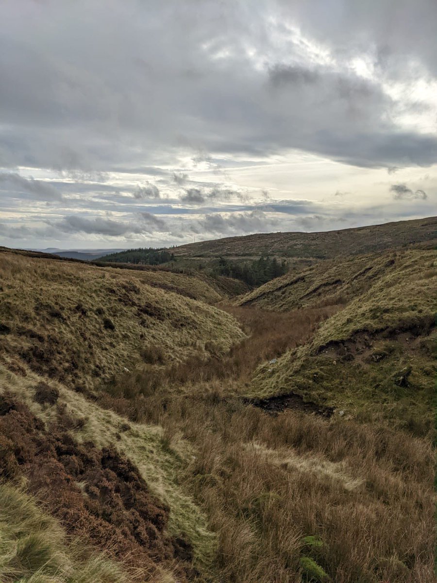 ClareDinnisWWT's tweet photo. Busman’s holiday today 😊

Lovely walk through #Hafren Forest to the source of the #RiverSevern. Still majestic even right at its very start. 

Sadly though, despite recent #rainfall, nearby #Clewedog #reservoir is still looking incredibly low. 

#Climatechangeinaction https://t.co/2VSmM1UEVH