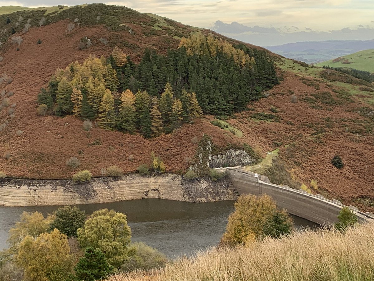 ClareDinnisWWT's tweet photo. Busman’s holiday today 😊

Lovely walk through #Hafren Forest to the source of the #RiverSevern. Still majestic even right at its very start. 

Sadly though, despite recent #rainfall, nearby #Clewedog #reservoir is still looking incredibly low. 

#Climatechangeinaction https://t.co/2VSmM1UEVH