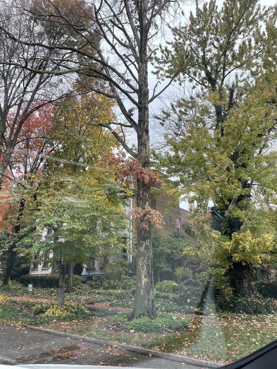 Michelle Tegethoff tweet media