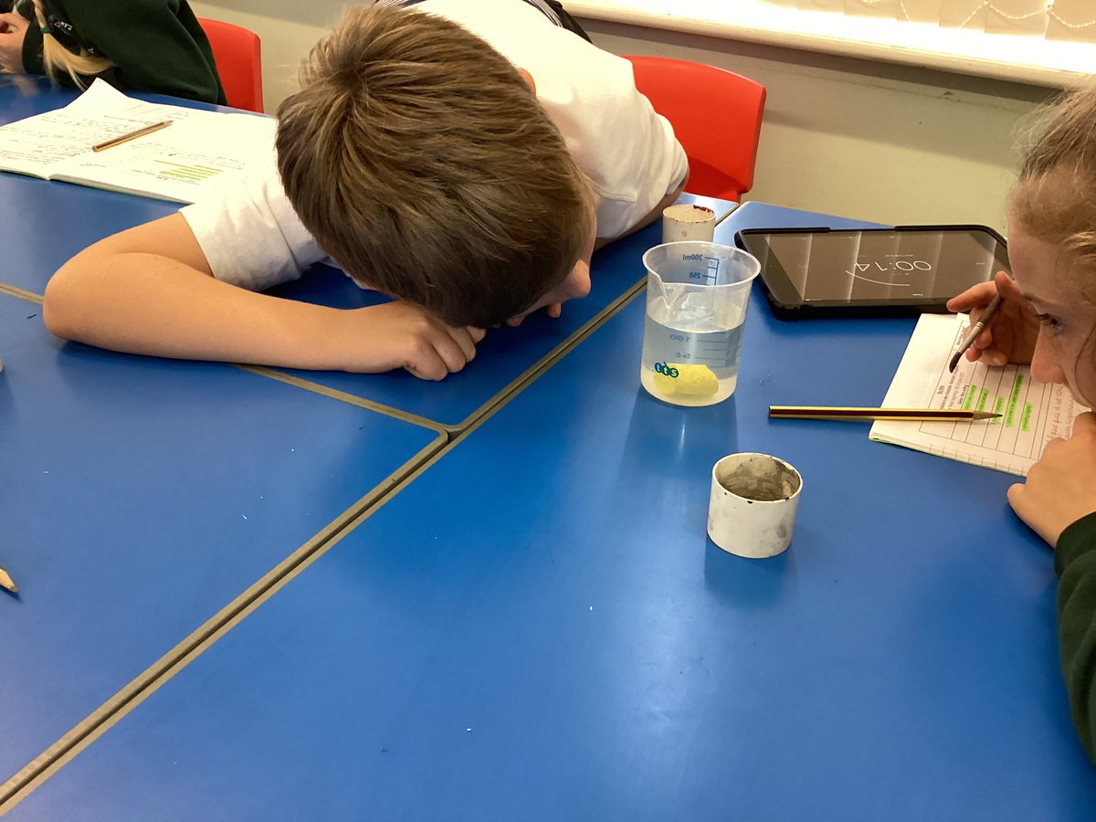 Mrs Cain DSM tweet media