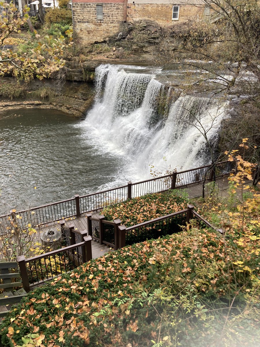 just me DeeDee tweet media