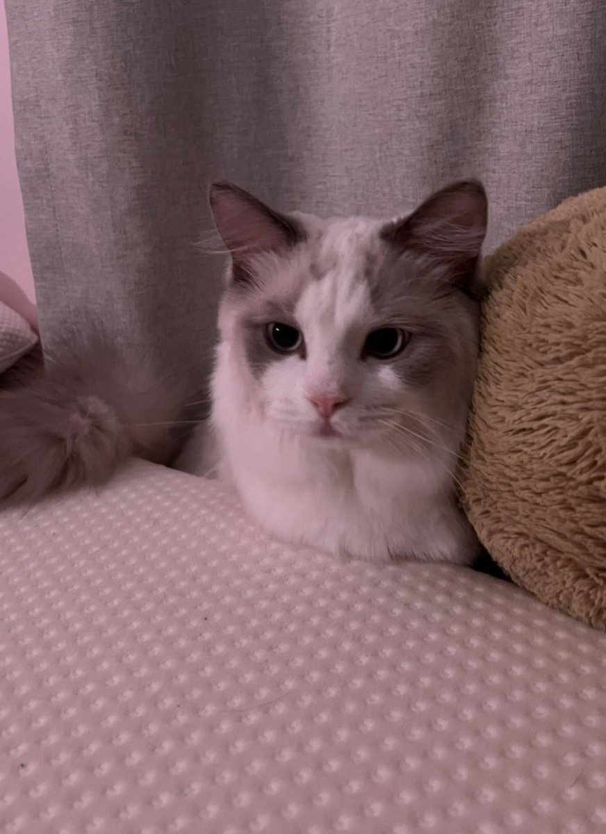 唉…看着哥哥今晚上传的照片突然觉得很悲伤…除了叹气也不知道能够说些什么…时间总能治愈一切吧 如果不行 淡化也算救治的一种方式…金昌珉 …你要好好吃 好好睡 好好休息 好好生活…11月到了 希望你更加幸福…