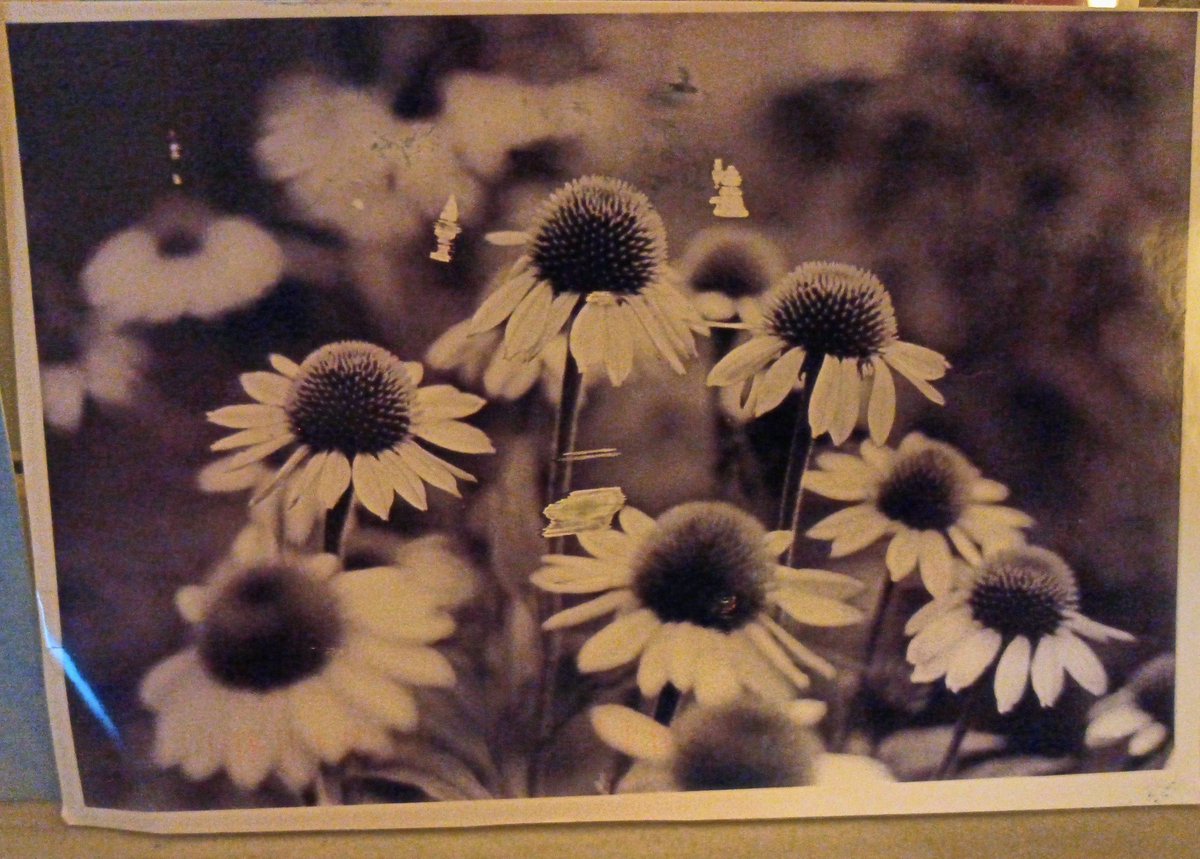 achatainfr's tweet photo. Thanks a lot to @CraftyMoni for her print and for organising the print exchanges!
This was taken with a lensed camera: I ca barely believe my eyes! ;-)
#believeinfilm #filmisnotdead #postcardfromafar https://t.co/hWHm9tuvRX
