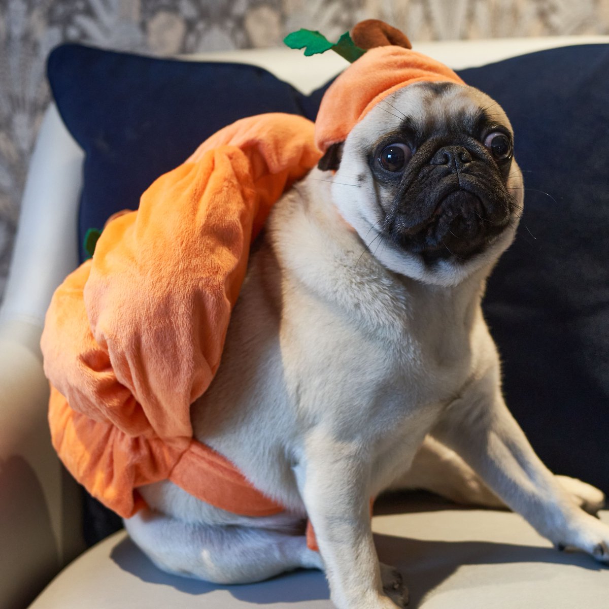 The Mayfair Townhouse tweet media