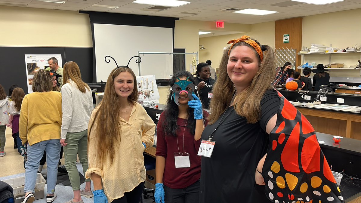 Dung beetle corner at the insect zoo