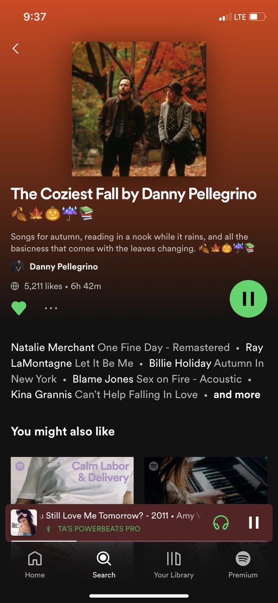 taflatland's tweet image. I know I am late to this but thank you @DannyPellegrino for this amazing playlist- just perfect #spoitfy #playlist #fallplaylist