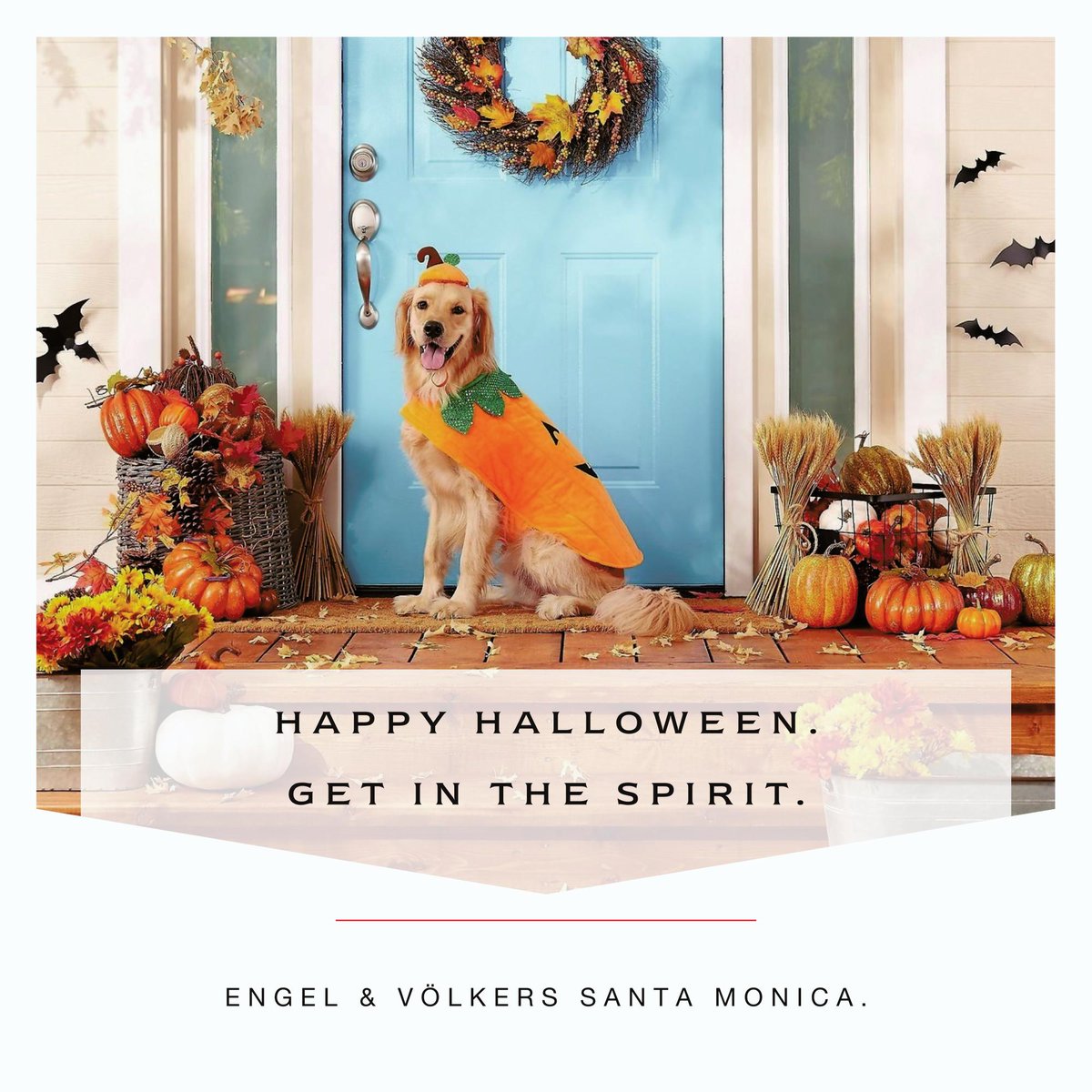 EVSantaMonica's tweet photo. While Halloween may be frightening, one thing that shouldn’t spook you is the real estate market. If you’re considering your next move, we’d be happy to carve out time to discuss your goals, current market trends, and how Engel &amp; Völkers can help you find your dream home. 🎃 https://t.co/wexu3BD2PW