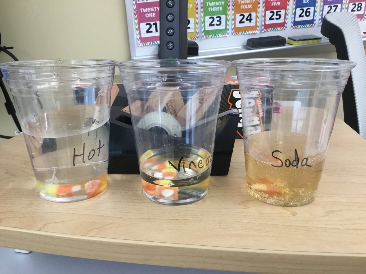 Candy Corn Experiment: What do you think will happen? #RSS11 ⁦<a href="/thank/">thank</a> you Ms. Curtis ⁦<a href="/silviac1111/">Silvia Curtis</a>⁩ ⁦<a href="/RotellaWarren/">Warren Rotella</a>⁩ #firstgraderocks
