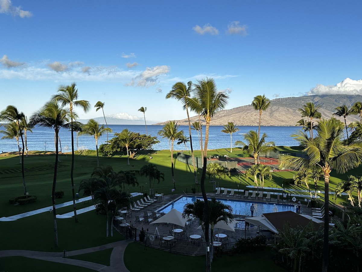 HeartofTexas tweet media