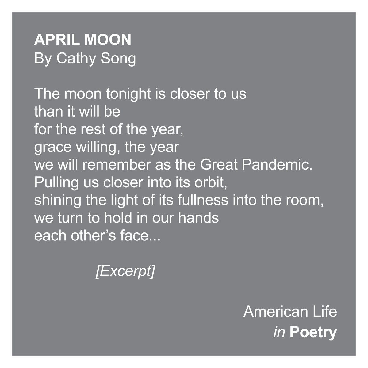 American Life in Poetry (@amerlifepoetry) on Twitter photo How do you survive a pandemic? <a href="/SongJiCathy/">Cathy Song</a>'s APRIL MOON points to the need for genuine tenderness. Read the complete poem at the link in our bio, plus, the accompanying commentary by Dr. Kwame Dawes. #AmericanLifeinPoetry #poetry #poetrycommunity #CathySong #AprilMoon How do you survive a pandemic? <a href="/SongJiCathy/">Cathy Song</a>'s APRIL MOON points to the need for genuine tenderness. Read the complete poem at the link in our bio, plus, the accompanying commentary by Dr. Kwame Dawes. #AmericanLifeinPoetry #poetry #poetrycommunity #CathySong #AprilMoon