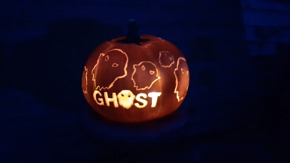 Ghost_Privacy's tweet photo. Happy Halloween!

We've got some great looking pumpkins to share! https://t.co/vREInKDINA