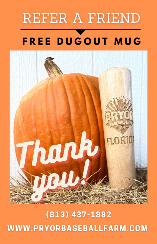 rkstarbaseball's tweet photo. join this month and also receive this November GIFT. FREE dugout mug .... cheers to the holidays here at the Farm https://t.co/Kr7XM0YQc1