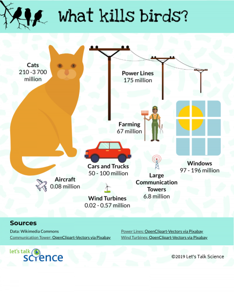 BiologueandoCom's tweet photo. ¿Qué mata a los pájaros y cuántos?

🙀 Gatos: 210-3700 millones (M)
⚡️ Líneas de alta tensión: 175 M
🪟 Ventanas: 97-196 M
🚘 Coches y camiones: 50-100 M
👩‍🌾 Agricultura: 67 M
📡 Torres de comunicaciones: 6,8 M
✈️ Aviones: 0,08 M
💨 Aerogeneradores; 0,02-0,57 M

Fuente en imagen https://t.co/53Sh5Aor5O