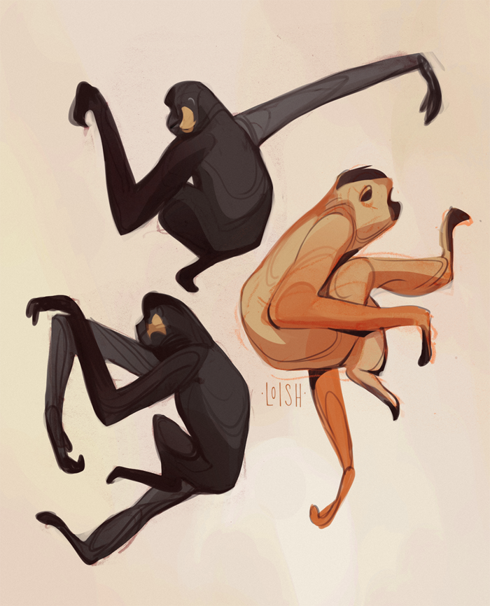 「How are gibbons even real? Their arms ar」|Loishのイラスト