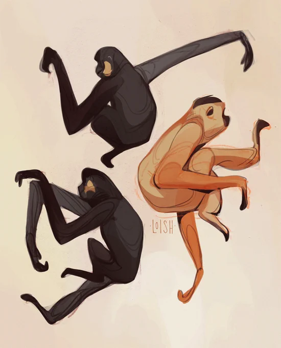 How are gibbons even real? Their arms are so long! Makes them fun to draw though. 