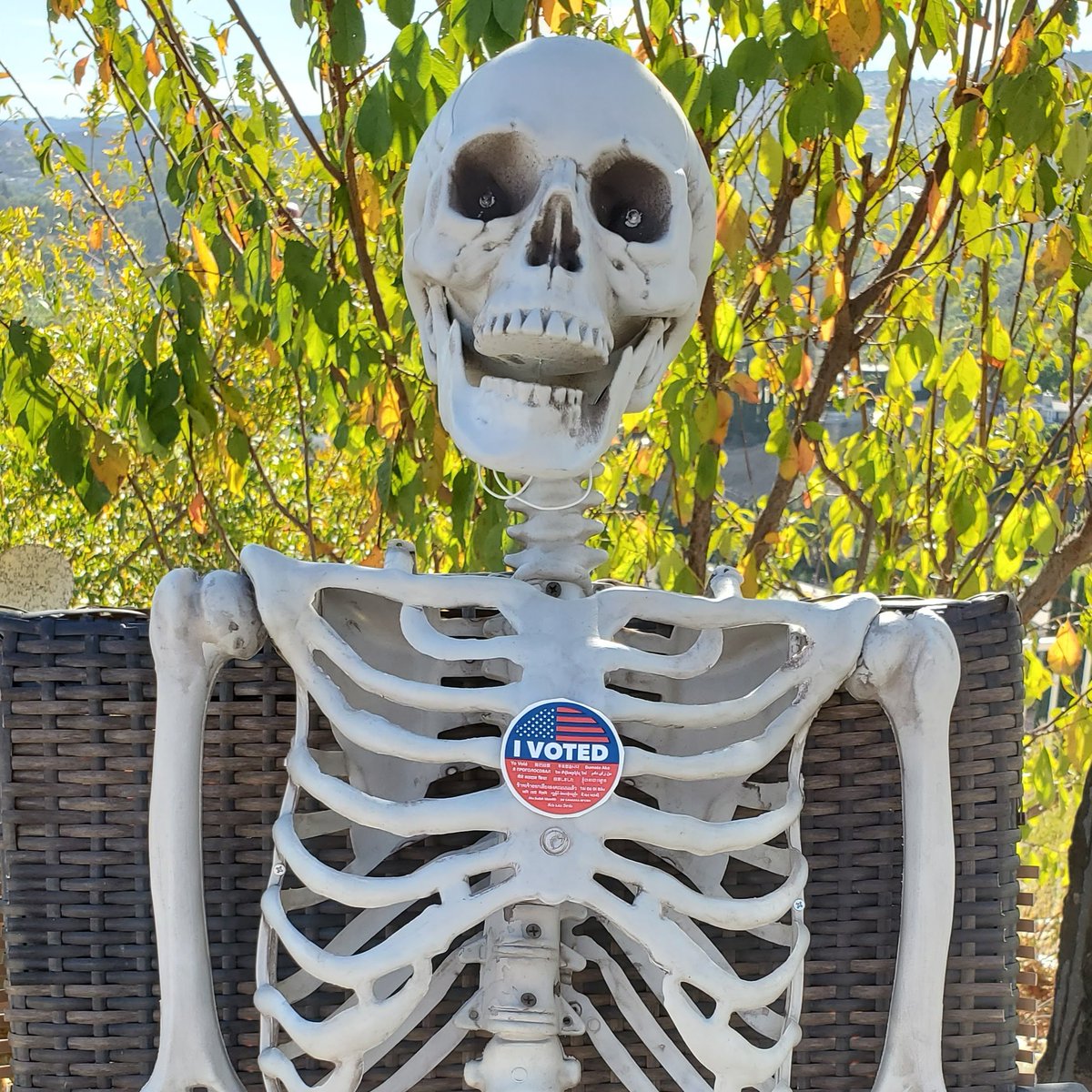Happy #Halloween! Don't wait too long to return your ballot, or you'll end up like this guy!

You can return your ballot by mail (no postage!), in a #ballot drop box (locator.lavote.gov/locations/), or at any #voting site (locations: caearlyvoting.sos.ca.gov).

#election #Election2022