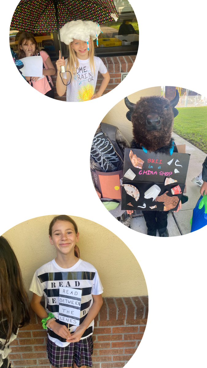 Look at these amazingly creative idiom costumes that were displayed during our <a href="/LPEPanthers/">Lake Park Elementary</a> vocab parade!