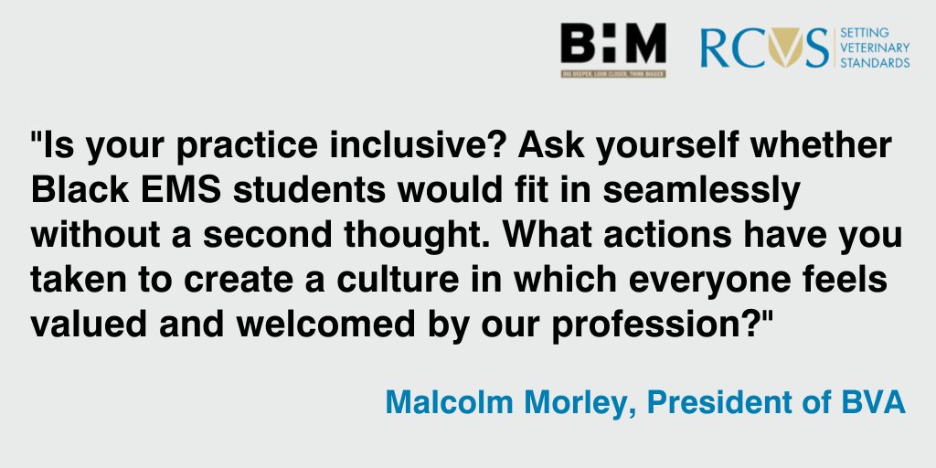 theRCVS's tweet photo. As #BlackHistoryMonth draws to a close, we would like to share some reflections from some of our Diversity and Inclusion Group members about the importance of allyship. https://t.co/GO0ndHI98Z