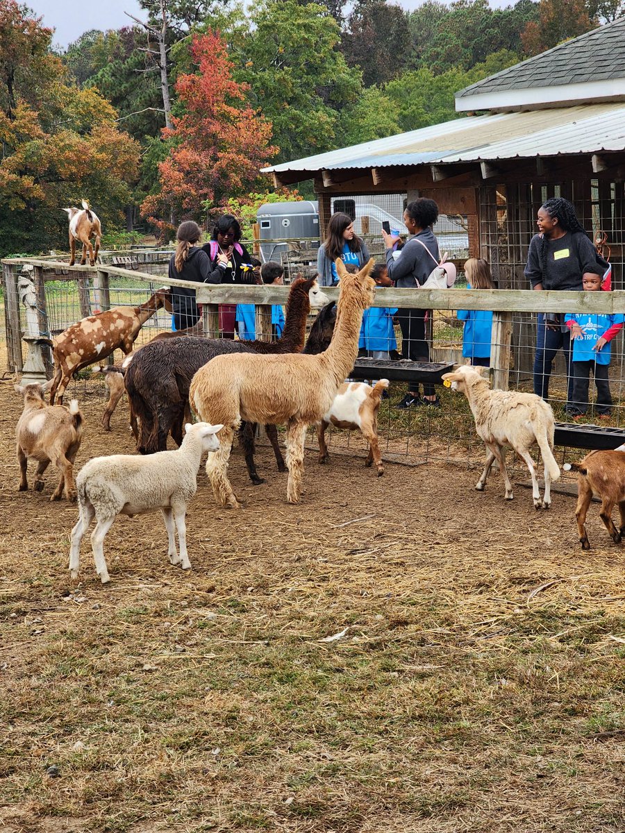 bebechikn's tweet photo. First Field trip of the year for these kindergarteners! A trip to @LongCreekEques to see and learn about SO many animals, and went for a walk to find a 🎃.  @RTEFlightStatus https://t.co/A7HtCPWsvT