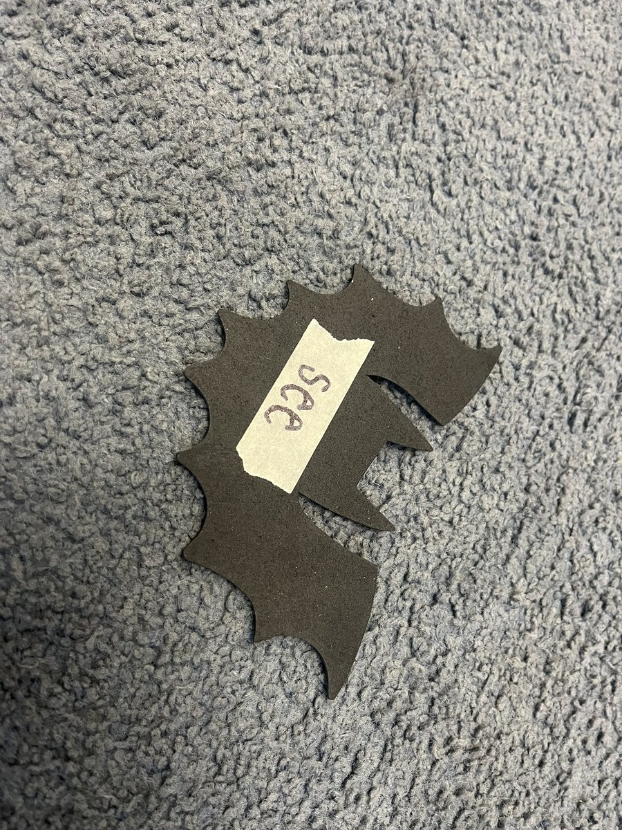 _mbumanlag's tweet image. The SKs and Grade 1s were tasked with giving directions to their partner to cross the carpet in a straight line today by reading our sight words located on the bats! 🔤🎃 #LiteracyActivity #MovementGames @STOCSpirit  @WECDSB