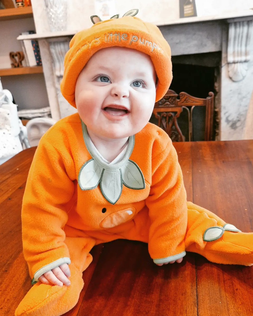 SarahJEllis321's tweet photo. Happy Halloween from my two babies 🎃 https://t.co/oMcvxy1W2R