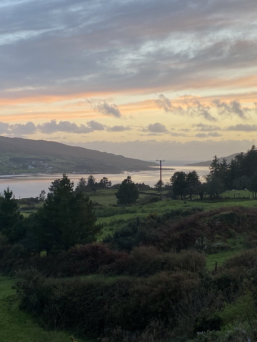 Mollkos's tweet photo. Day 1400, #1400daysofwalking #365daysofwalking had a lovely walk when the rain stopped. https://t.co/tw7uxc6cLR