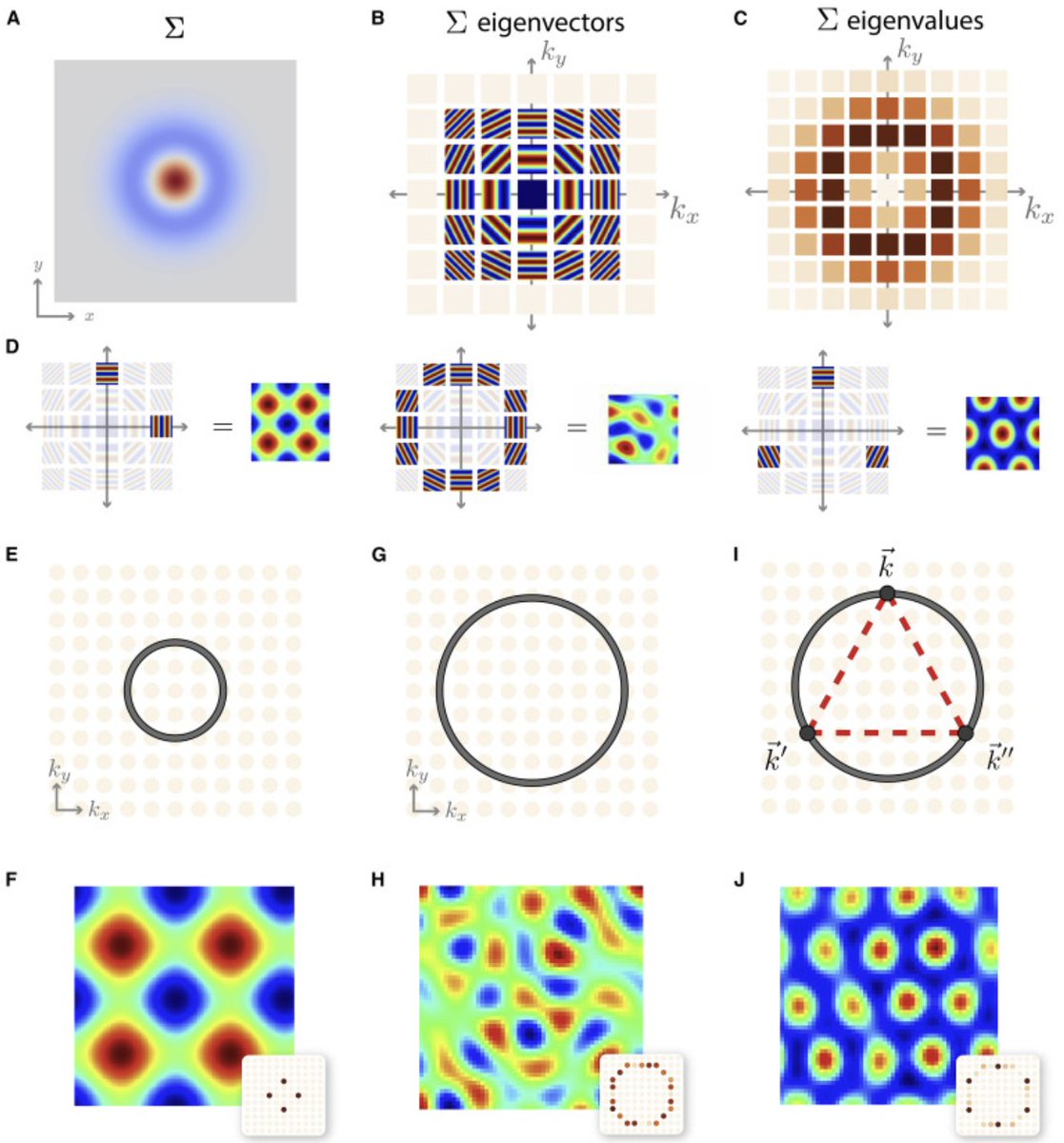 Surya Ganguli (@suryaganguli) on Twitter photo Our new paper <a href="/NeuroCellPress/">Neuron</a> "A unified theory for the computational and mechanistic origins of grid cells" lead by Ben Sorscher & <a href="/meldefon/">Gabriel Mel</a> w/<a href="/SamOcko/">Sam Ocko</a> & <a href="/lisa_giocomo/">Lisa Giocomo</a> explains when & why grid cells appear (or don't) in trained neural path-integrators and
authors.elsevier.com/c/1f~Ze3BtfH1Z… Our new paper <a href="/NeuroCellPress/">Neuron</a> "A unified theory for the computational and mechanistic origins of grid cells" lead by Ben Sorscher & <a href="/meldefon/">Gabriel Mel</a> w/<a href="/SamOcko/">Sam Ocko</a> & <a href="/lisa_giocomo/">Lisa Giocomo</a> explains when & why grid cells appear (or don't) in trained neural path-integrators and
authors.elsevier.com/c/1f~Ze3BtfH1Z…