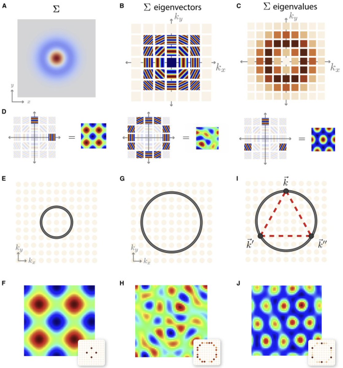 Our new paper @NeuroCellPress 'A unified theory for the computational and mechanistic origins of grid cells' lead by Ben Sorscher & @meldefon w/@SamOcko & @lisa_giocomo explains when & why grid cells appear (or don't) in trained neural path-integrators and authors.elsevier.com/c/1f~Ze3BtfH1Z…