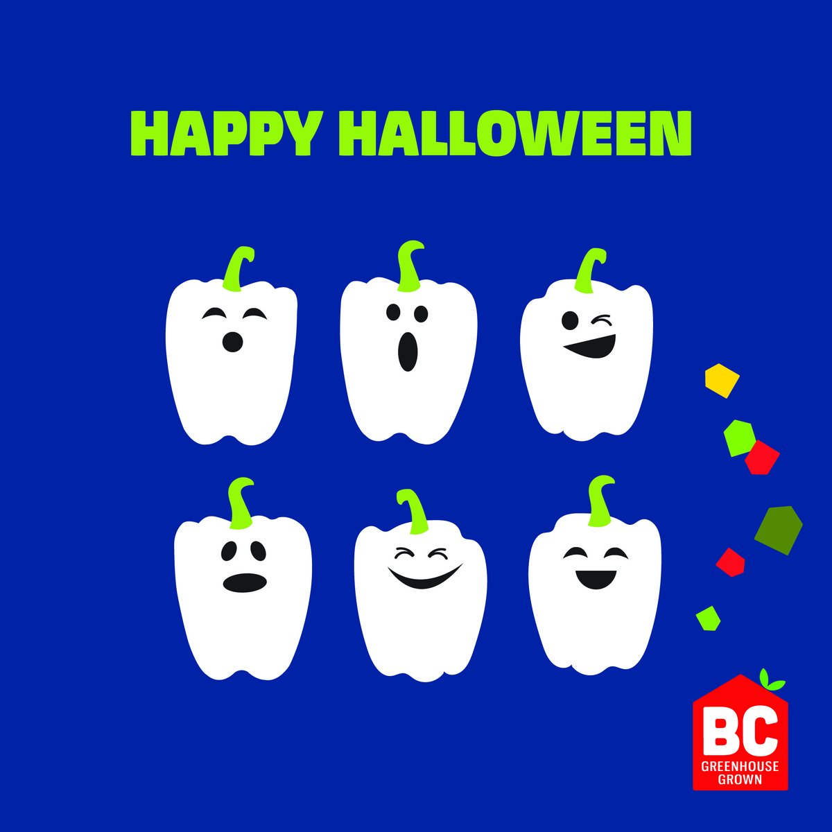 👻 🎃 Happy Halloween! #bcgreenhouseassociation #bcgreenhouse