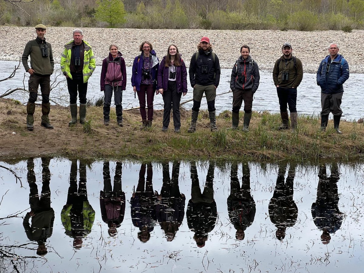 appliedecology's tweet photo. AEL Glasgow is looking for graduate (£20-30k) or senior (£28-44k) ecologists! Part-time, flexible and home-working all possible. Email us for more info: info@appliedecology.co.uk https://t.co/1wVNlOX79U