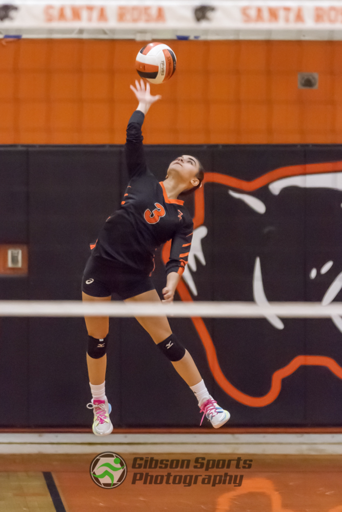 GibSportsPhoto's tweet image. Had the pleasure of covering Santa Rosa HS volleyball a few weeks back. Great skills. Are they ever on the floor? 😁
#CaptureTheAction #ShareTheMemory #SRHSPanthers
