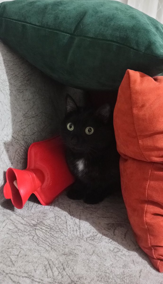 Sokakta yaşasa anca bu kadar üşürdü yavrum, henüz sayaç bağlanmadığı için evimiz soğuk❄️🐧 #AKSA yakında bunun vebaliyle iflas eder bilanço dönemindeyken hisseniz varsa elden çıkarın, ben çıkaracağım 🥲 not: YTD.
#aksa #bist #borsa <a href="/Aksa_Van/">Aksa Doğalgaz Van</a> <a href="/DOGALGAZAKSA/">Aksa Doğalgaz</a>