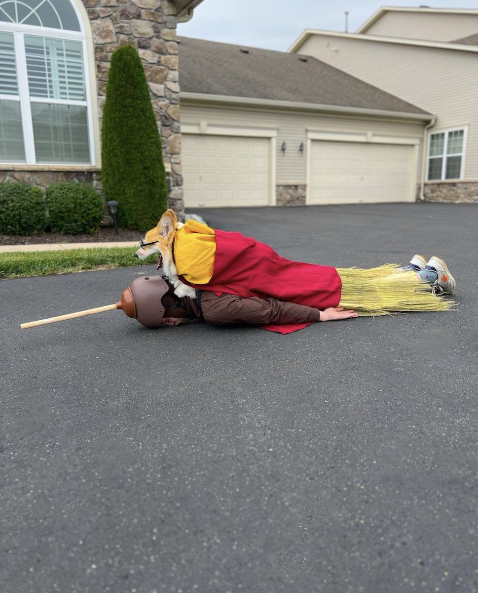 PAVGOD's tweet image. It’s a Nimbus 2000!