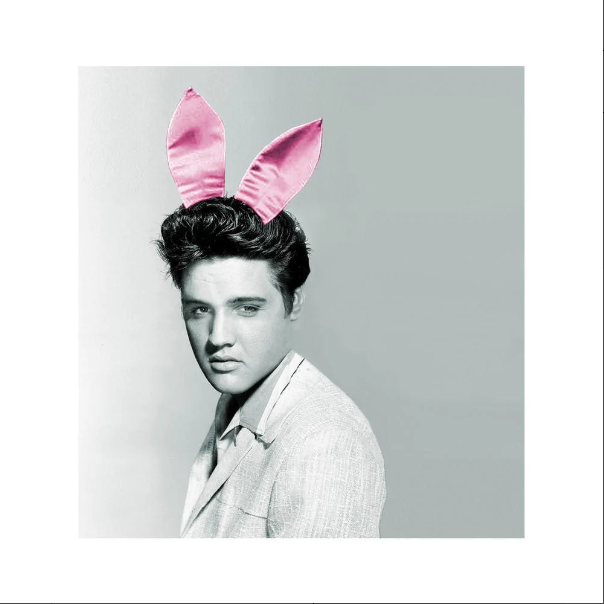 artrepublic's tweet photo. Happy Halloween everyone👻

Get into the spooky spirit with our hand-picked collection of eerie prints. From Elvis Presley in bunny ears to classic horrors films, there is treat for everyone,

Discover our fang-tastic collection at the link here: https://t.co/abjXttovrv https://t.co/jIcF5qLbZs