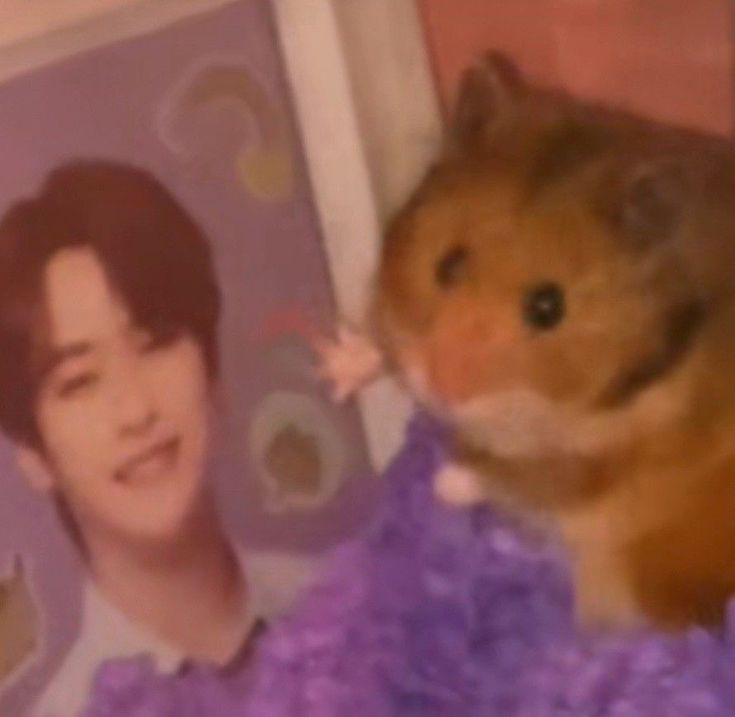 hynhnvs's tweet photo. I vote #straykids    for worldwide fans choice Top 10 #MAMAVOTE https://t.co/Pj3bWERjwN