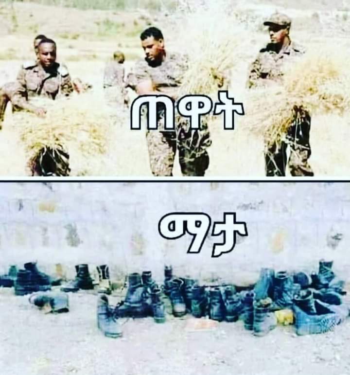ketma_11's tweet photo. Unforgetebal day!
ጥቅምት 24 መቼም አንረሳውም! https://t.co/MIH7yTtvps