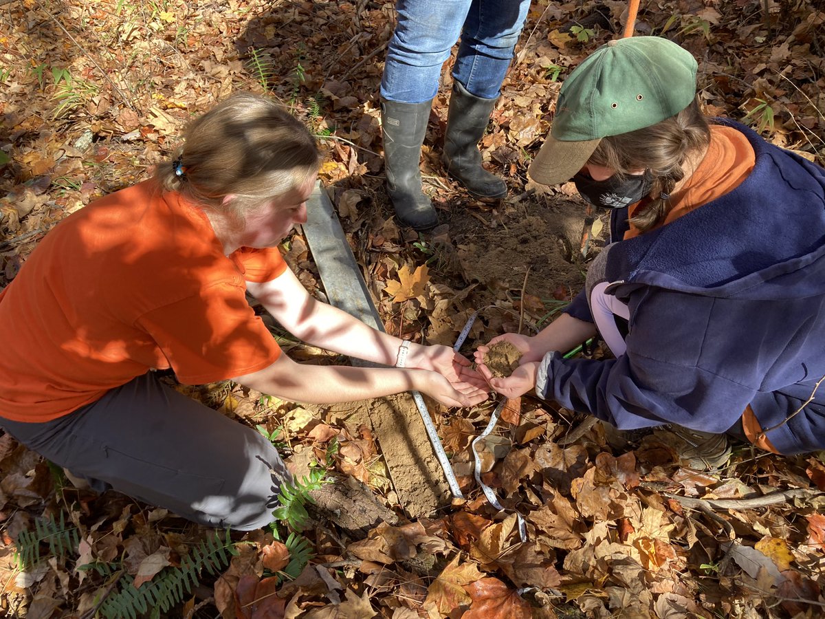 YichaoRui_PAL's tweet photo. Saw some amazing soils during the Southern Indiana Field Trip of the AGRY 565 (Soils and Landscapes), by Dr. @DarrellGSchulze. Need to zoom in to see who’s in the last picture!! Photo by @chrisrenschler https://t.co/qsydvEKigu