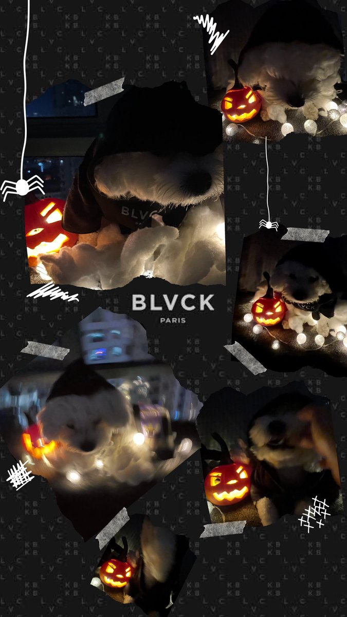 TheCryptoPet's tweet photo. Happy Hooowllloooween @BlvckParis #blvckoween #blvckarmy https://t.co/RHRgVcQAcx