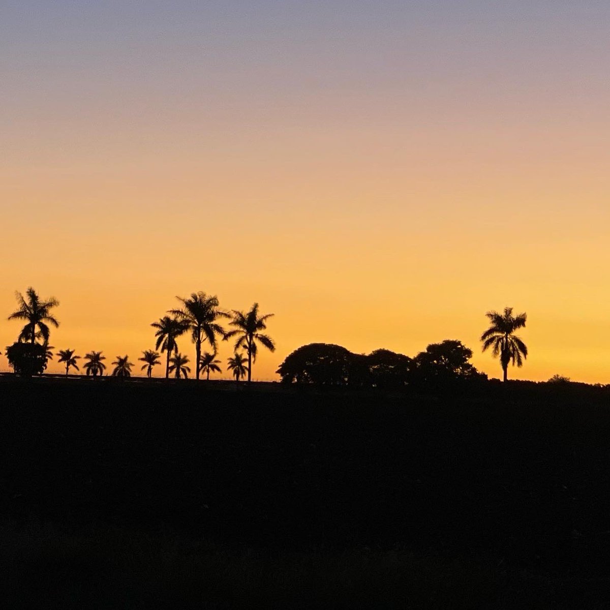 pitacontre's tweet photo. El atardecer.. mi color favorito.
#PuroSinaloa https://t.co/d9HM86DpX8