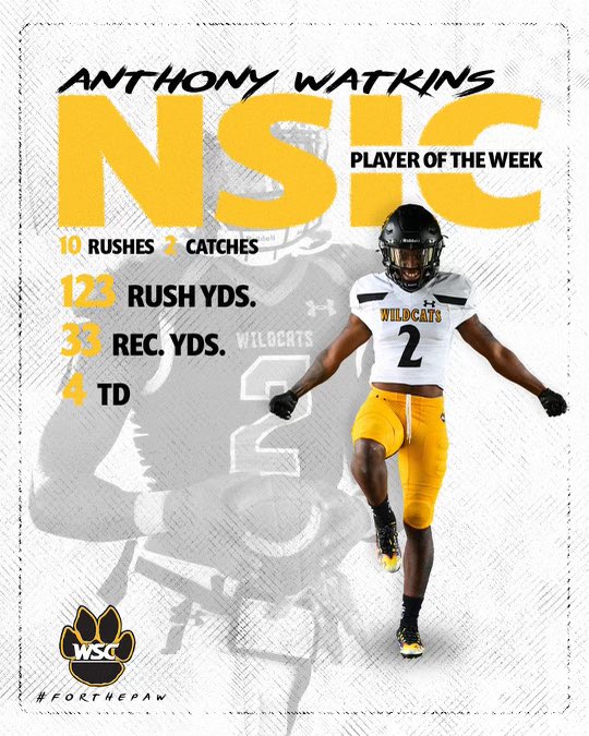 WayneStFootball's tweet photo. Congratulations to @_Grind2x for earning @NorthernSunConf Offensive Player Of The Week

#ForThePaw X #WILDRI23 🐯🔥 https://t.co/SLeLTMYEec