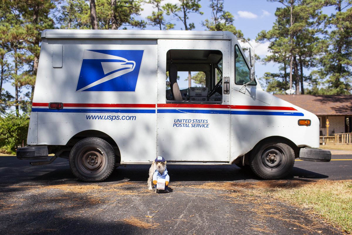 PreslieCox's tweet photo. Archie and Murphy would like to wish everyone a safe and happy #Howloween! 🎃 They are PAWsitive your deliveries will be on time today 🤪🐾📬 @UPS #UPSdogs #USPS #Halloween2022 https://t.co/hA5CSgHoIx