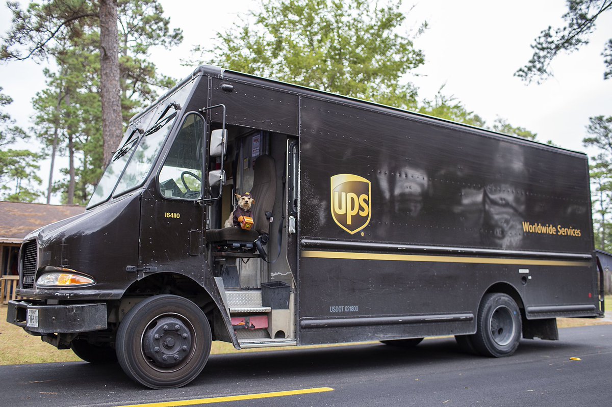 PreslieCox's tweet photo. Archie and Murphy would like to wish everyone a safe and happy #Howloween! 🎃 They are PAWsitive your deliveries will be on time today 🤪🐾📬 @UPS #UPSdogs #USPS #Halloween2022 https://t.co/hA5CSgHoIx