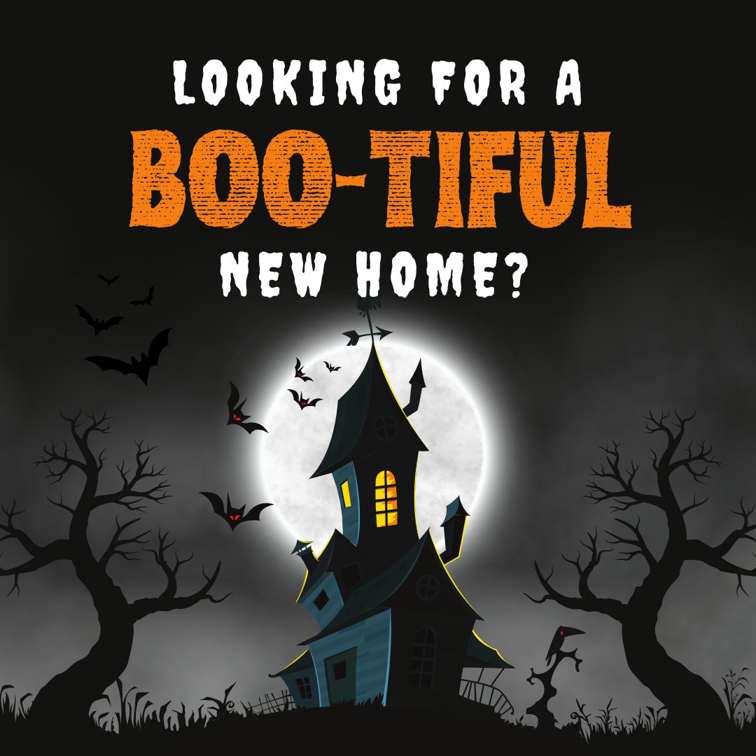 jordanceh's tweet image. There are some SCARY good deals in today's market!  If you are looking to make a move, it would be our TREAT to help you! 🍭🍬

#HappyHalloween #trickortreat #MastersofRealEstate #MORE #yourlocalexperts #JordanCeh #AlexPoratto #C... facebook.com/48911040447406…