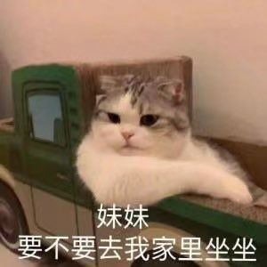 o3uiii_'s tweet photo. 请问有姐妹可以分享几个男菩萨吗！！！！身材好 🐔大的那种！！！！或者情侣doi的！！！！！ https://t.co/ZrPmO3oMF5