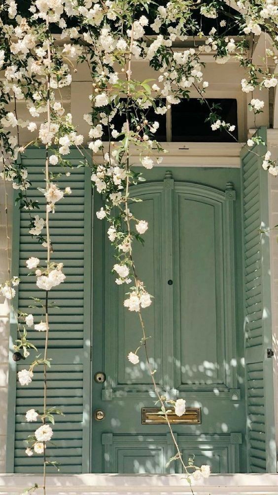 softdeIicacy's tweet photo. delicate and romantic, ♡. https://t.co/xIDbbe2SwO